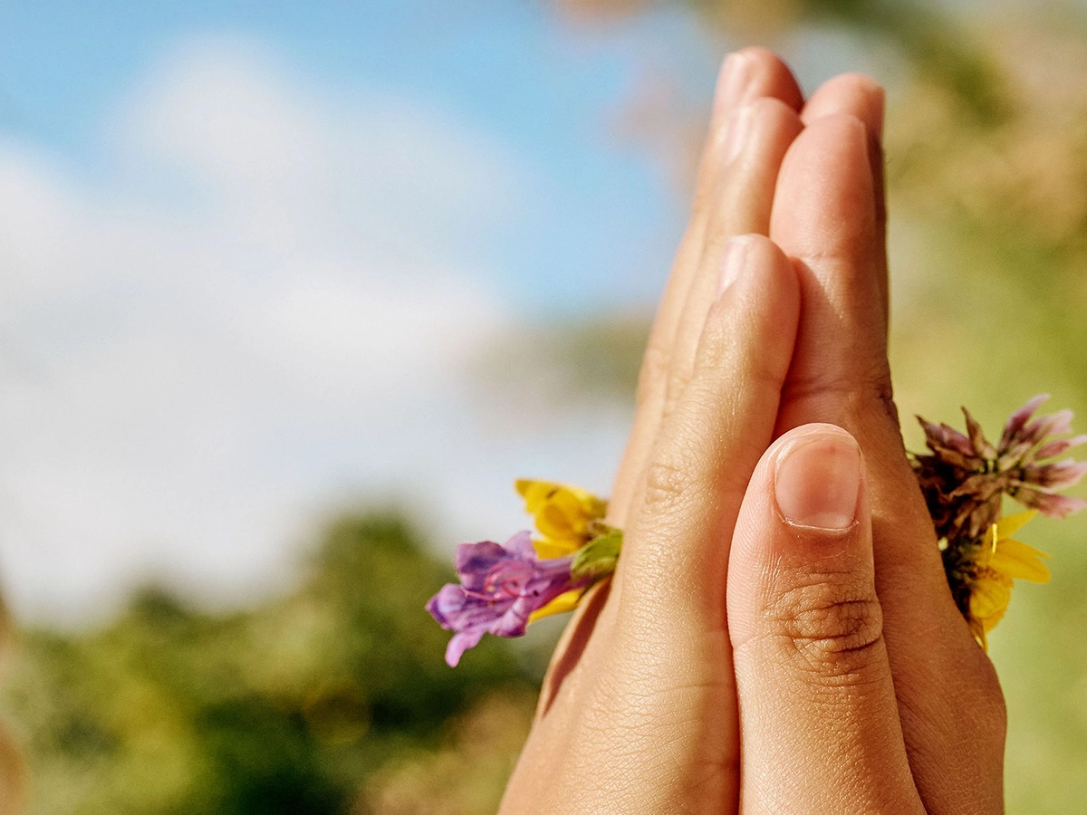 The person is holding a few wildflowers in their hands.
